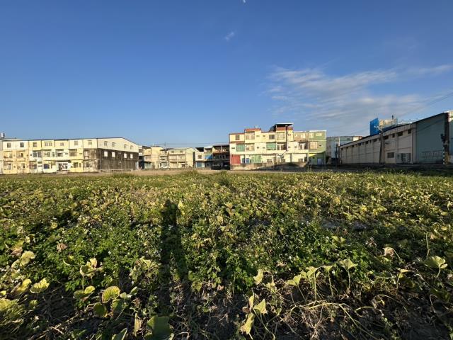 美濃農地-2