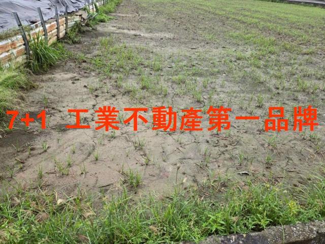 高雄農地-0
