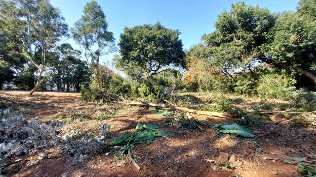 新竹縣寶山鄉大漂亮合法農業設施休閒地春明地產