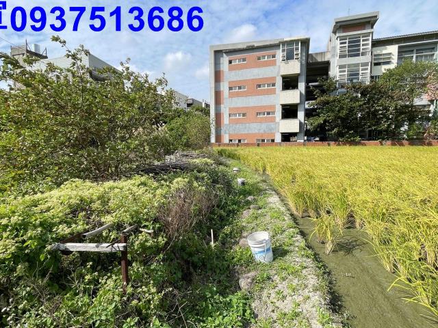 新竹竹北農地-4