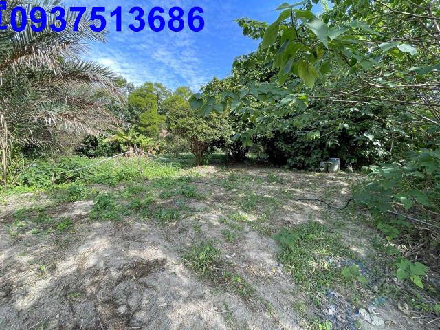 新竹竹北農地-9