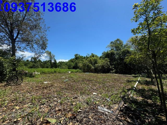 宜蘭土地宜蘭農地員山農地三星農地