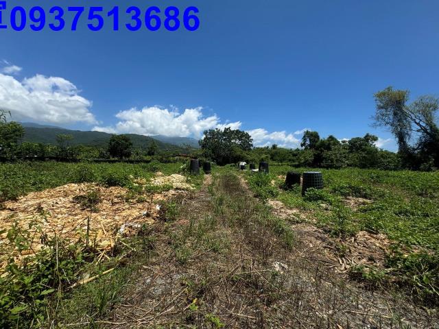 宜蘭礁溪農地-5