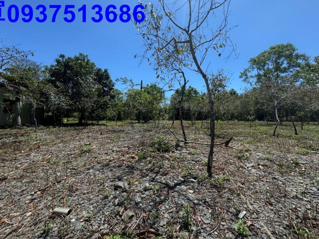 宜蘭礁溪農地-8