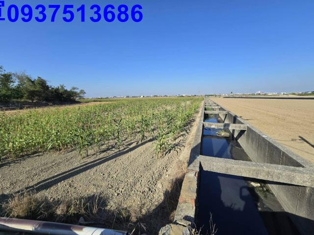 嘉義新港農地-3