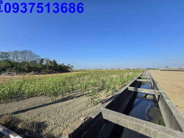 嘉義新港農地-5