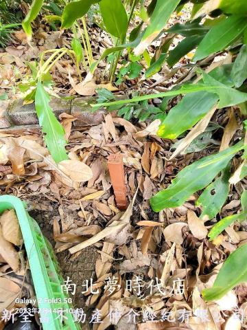 台南鹽水建地-3