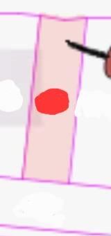 台南鹽水建地-5