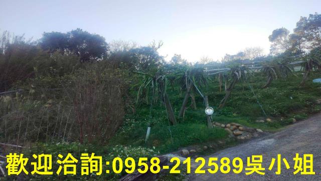 新埔山坡地-9