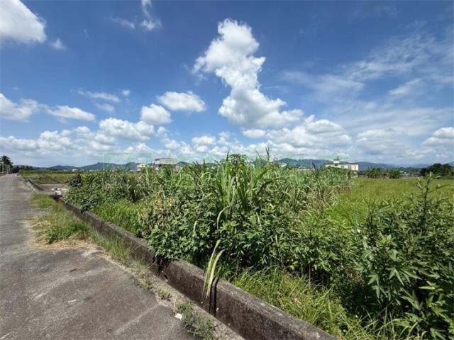 美濃農地-2