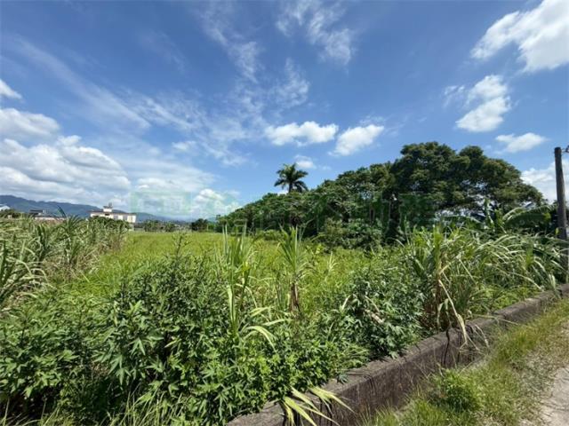 美濃農地-4