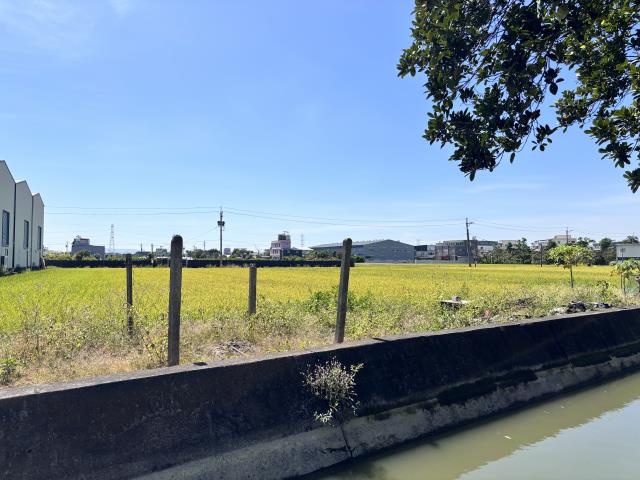 大寮農地-2
