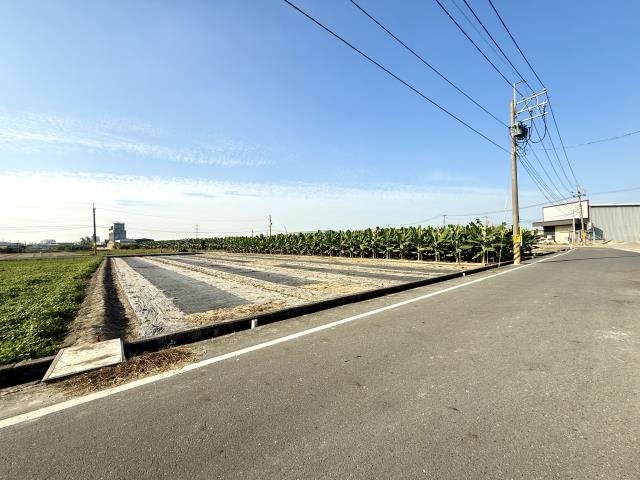 大寮農地-6