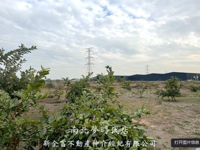 高雄湖內農地-2