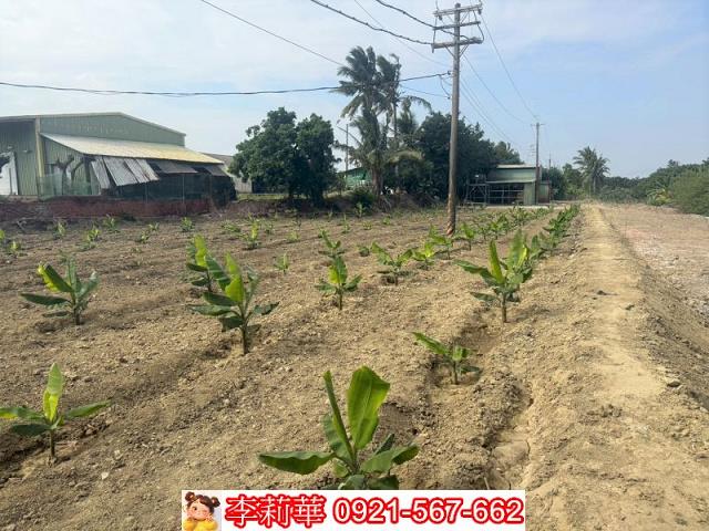 高雄路竹農地-9