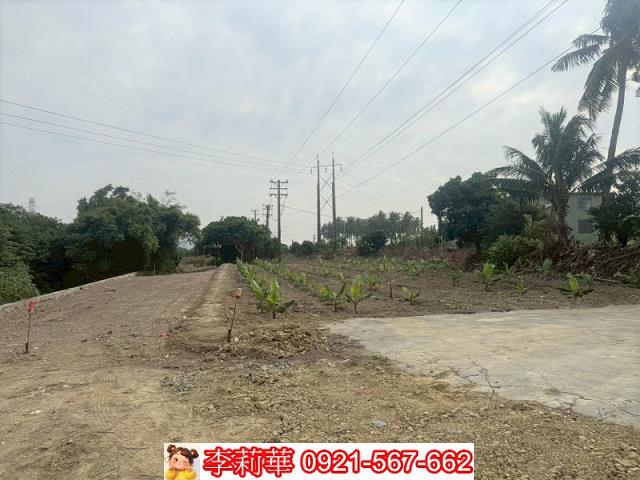 高雄路竹農地-4