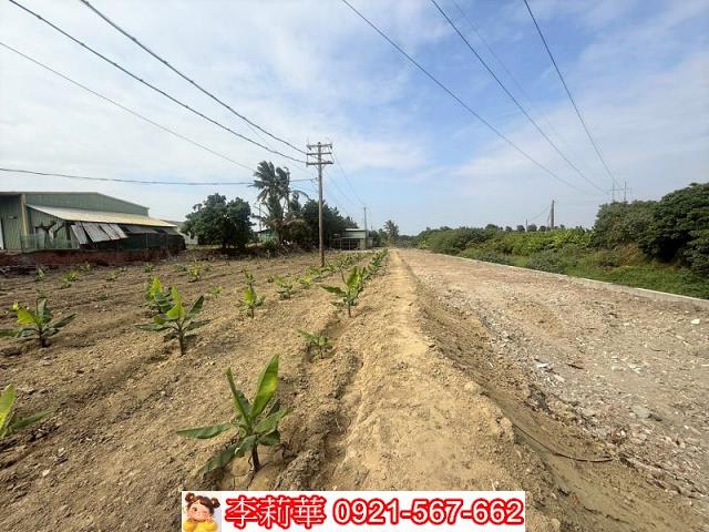 高雄路竹農地-5