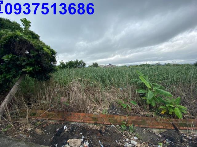 宜蘭壯圍農地-3