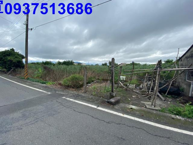 宜蘭縣壯圍鄉美城段農地出售