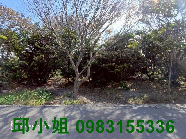 嘉義建地農地台灣房屋湖子內特許加盟店富鑫團隊呂昆佩阿魯米