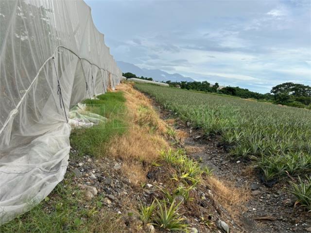 屏東農地-11
