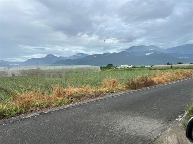 屏東農地-0