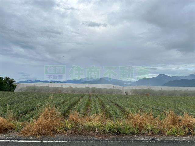 屏東農地-3