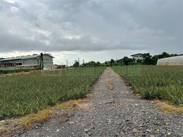屏東農地-7