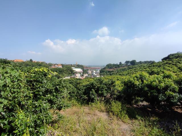 高雄農地-2