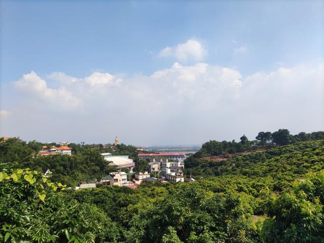 高雄農地-4
