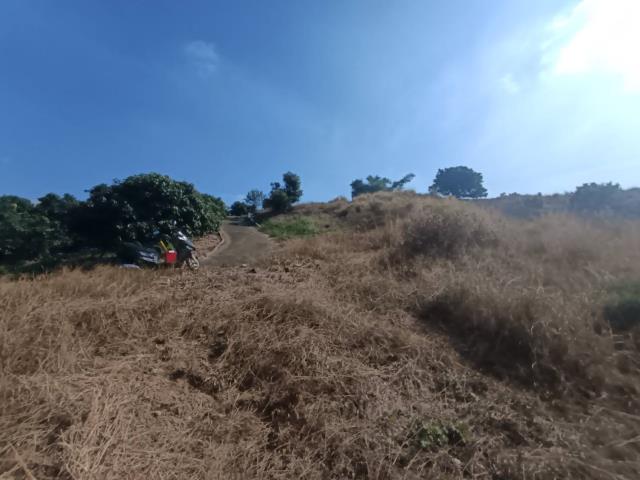 高雄農地-9