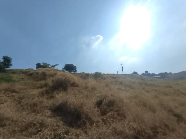 高雄農地-10