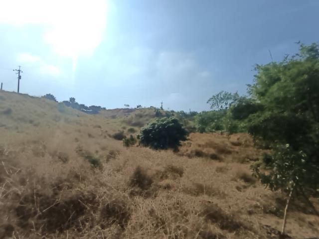 高雄農地-11
