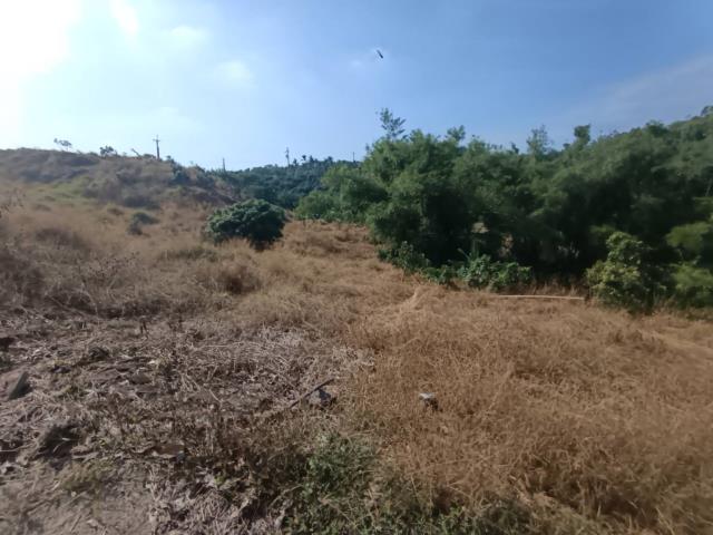高雄農地-13