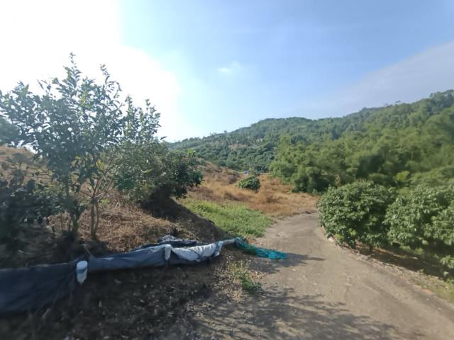 高雄農地-14