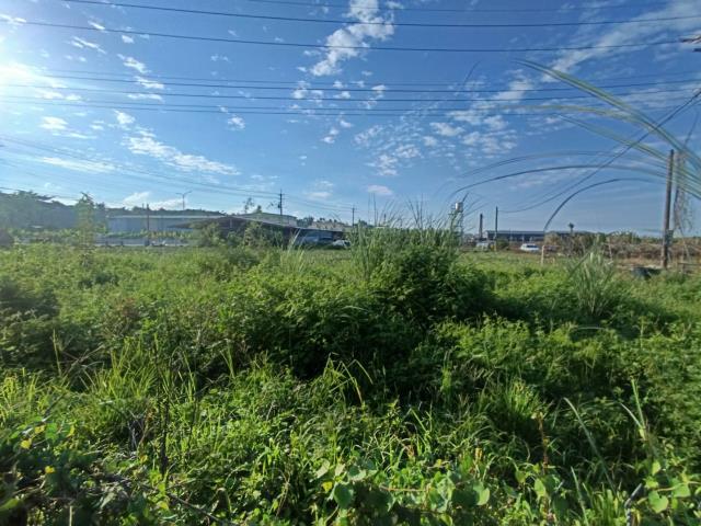 高雄農地-11