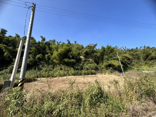 台南左鎮農地-0