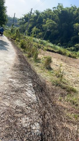 台南左鎮農地-2