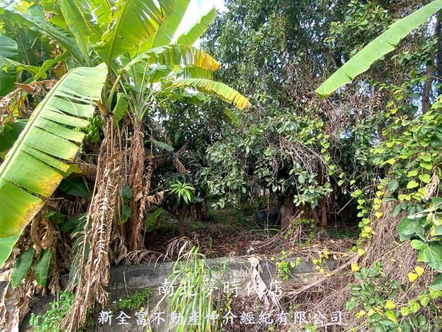 台南新化農地-1