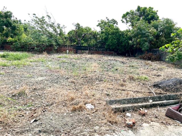 屏東新園建地-0