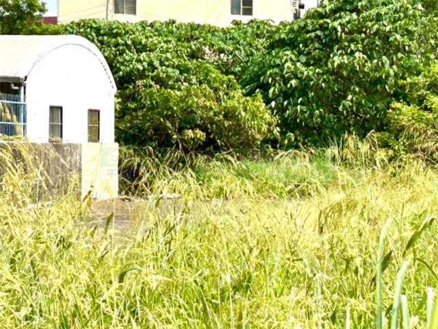 屏東新園建地-3