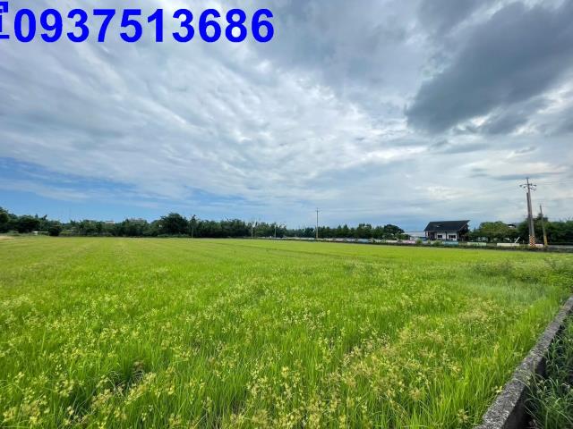 宜蘭縣壯圍鄉新南段農地出售