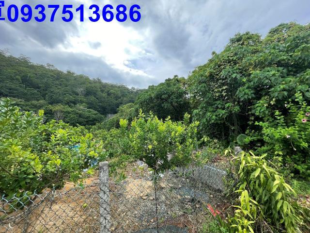 宜蘭員山農地-4