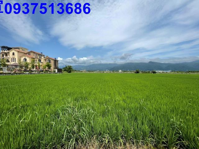 宜蘭礁溪農地-12