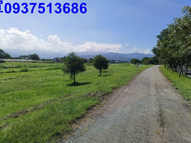 宜蘭三星農地-10