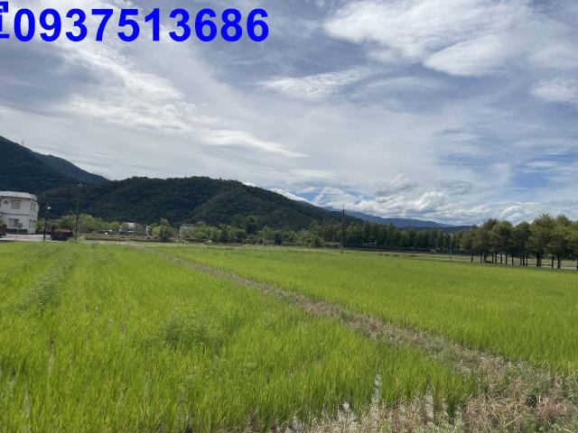 宜蘭冬山農地-3