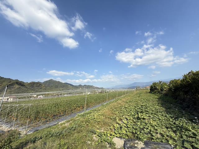 美濃農地-0