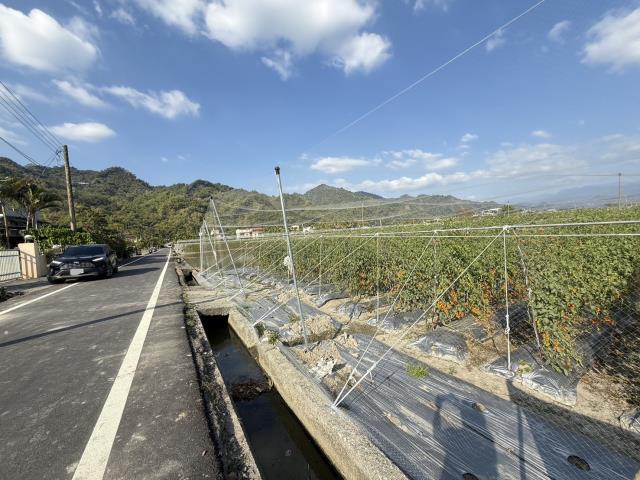 美濃農地-2