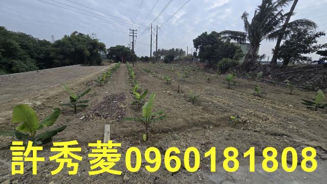 路竹農地-0