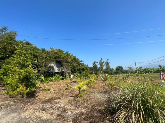 旗山農地-1